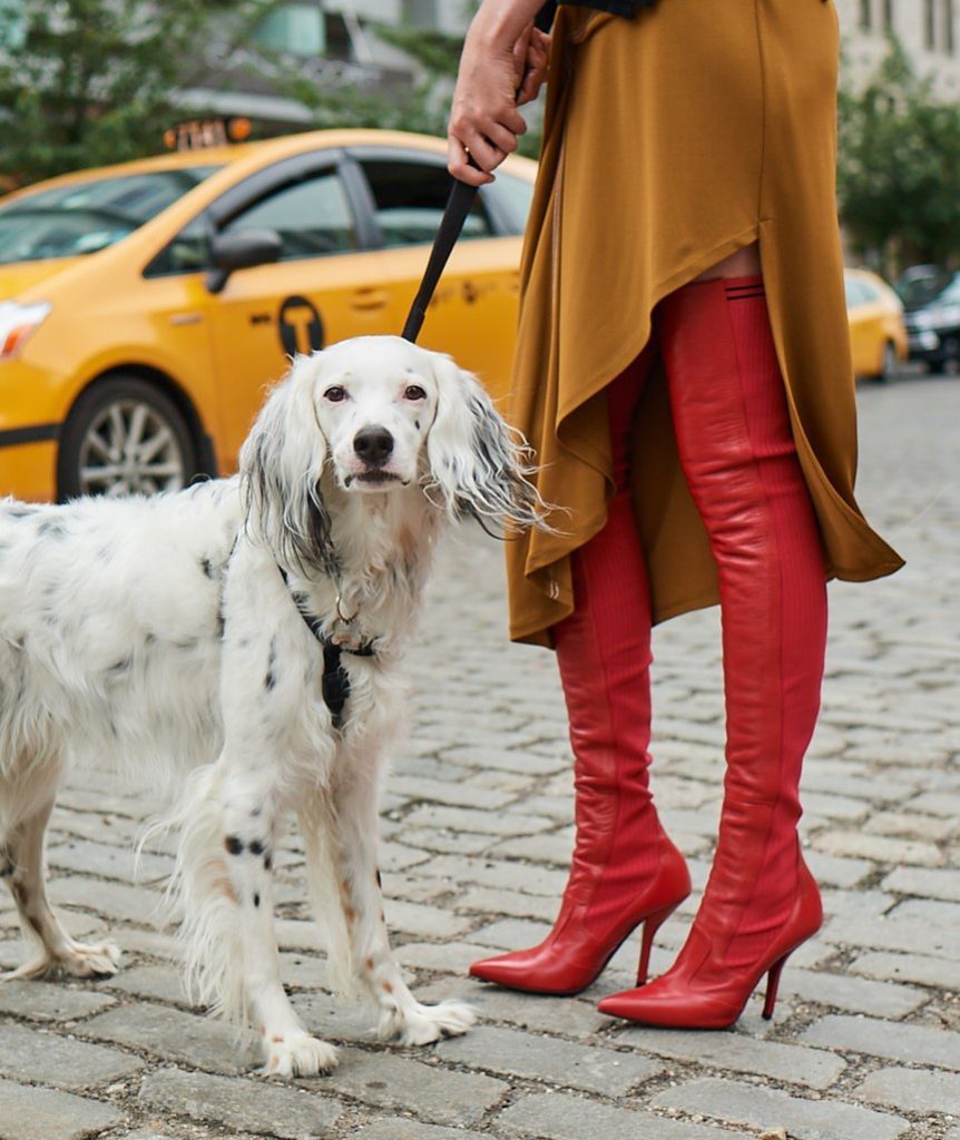 Neiman Marcus’ Fall Catalog Features Good Shoes With Even Better Puppies