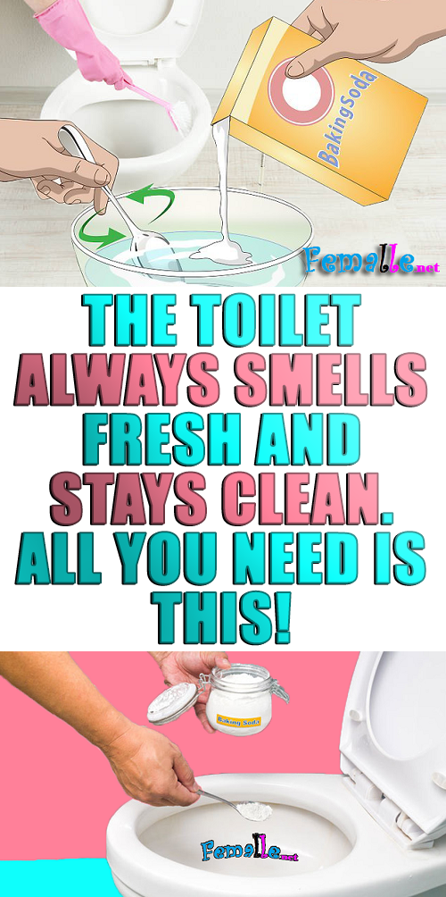 The Toilet Always Smells Fresh And Stays Clean. All You Need Is This