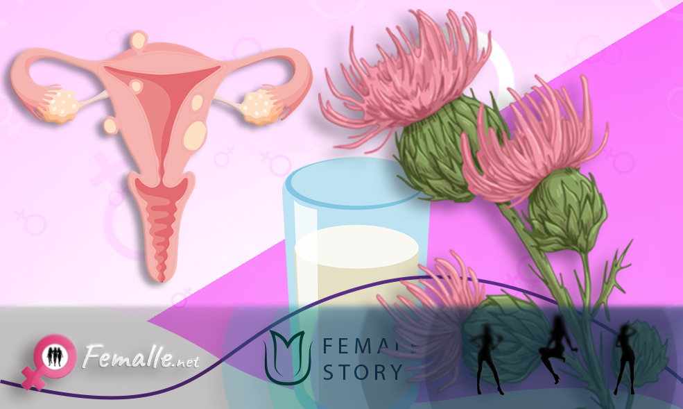 Milk Thistle cure for uterine fibroids